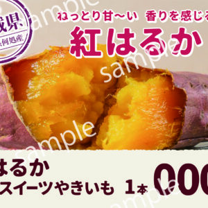 【POP】紅はるか/プライスポップ