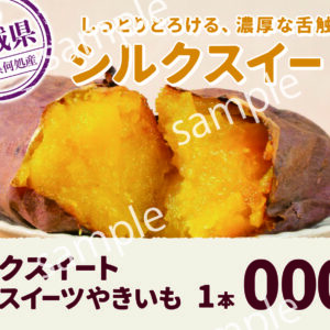 【POP】シルクスイート/プライスポップ